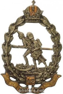 Знак 42 пехотный полк