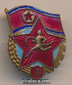 Нагрудный знак Готов к труду и обороне (ГТО) 1-ой степени 